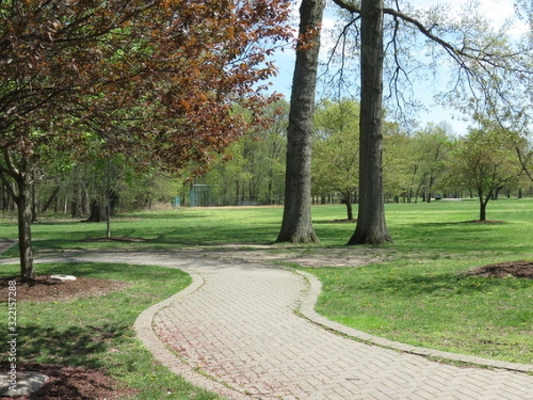 Obraz path in park