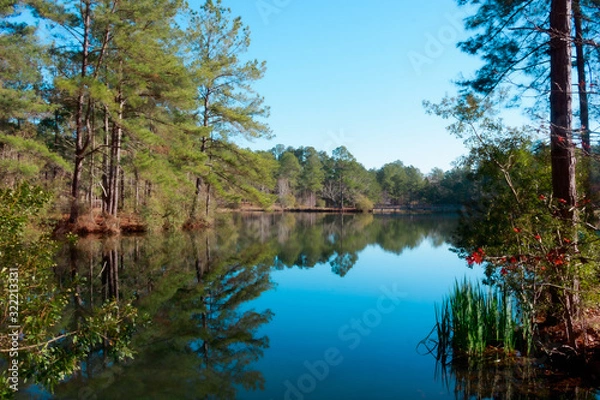 Obraz General Coffee State Park, Douglas, Georgia