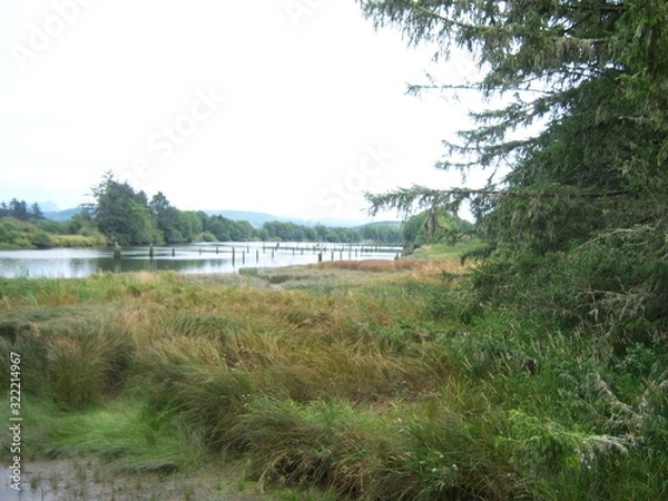 Fototapeta landscape with river and trees