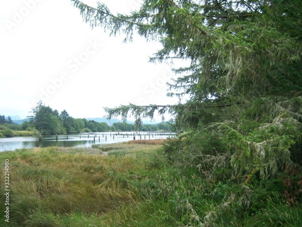 Fototapeta landscape with river