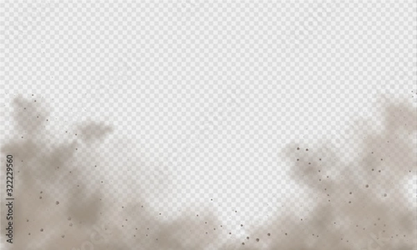 Obraz Dust cloud, sand storm, powder spray on transparent background. Desert wind with cloud of dust and sand. Realistic vector illustration.