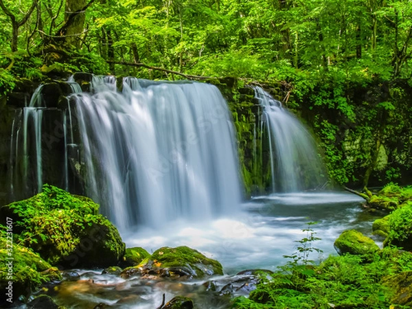 Fototapeta choshiootaki falls　銚子大滝