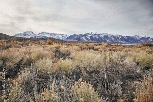 Obraz A View of the Eastern Sierra Nevada Mountains in the Dry Great Basin on a Cloudy Day