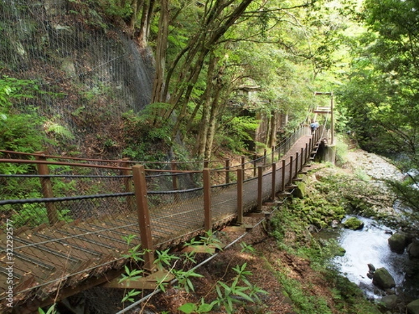 Fototapeta 水辺の吊橋