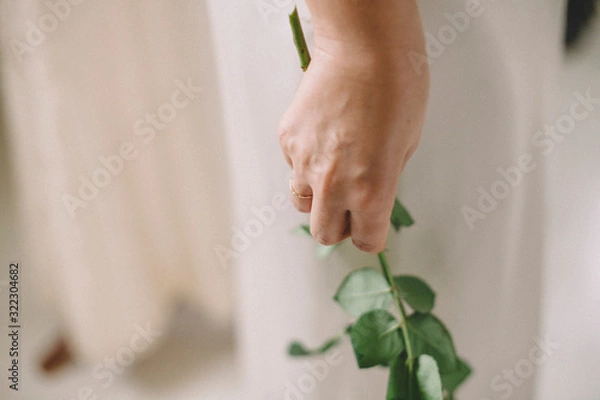 Obraz Braut, hochzeit