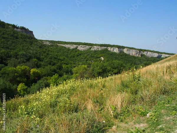 Obraz The mountain slope is covered with dense green vegetation, small yellow flowers are visible in the foreground.