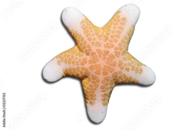 Obraz seastar