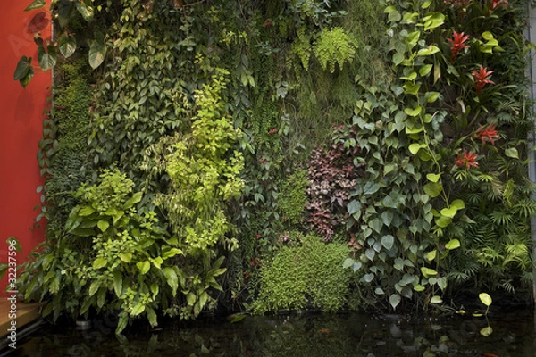 Obraz Mur végétal 4917