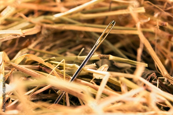 Fototapeta Needle in a haystack