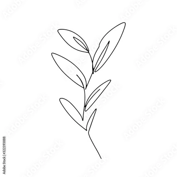 Obraz Abstract one continuous line art with botanical illustration with leaf, petal and grass. Simple digital illustration. Vector graphic design download