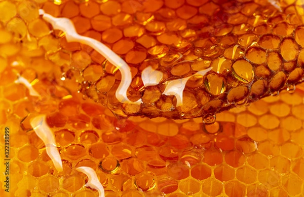 Fototapeta honey texture close up in the detail