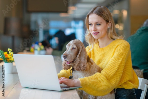 Fototapeta Young caucasian blonde freelancer girl holding her cocker spaniel dog on her knees in co working space and using laptop while working or studying.