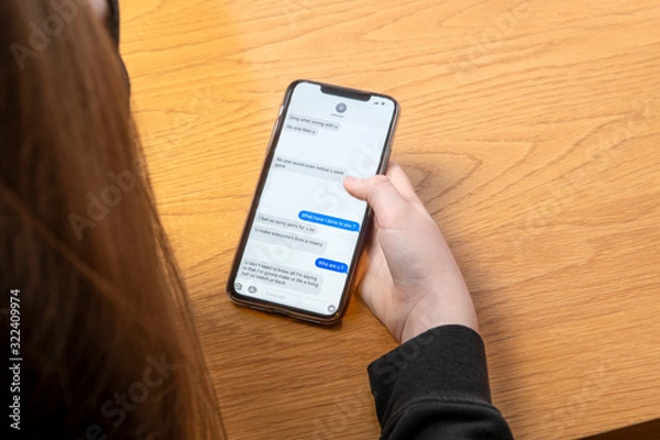 Obraz cyber bullying 6