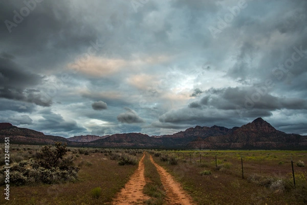 Obraz Dirt road through a field in scenic southern Utah