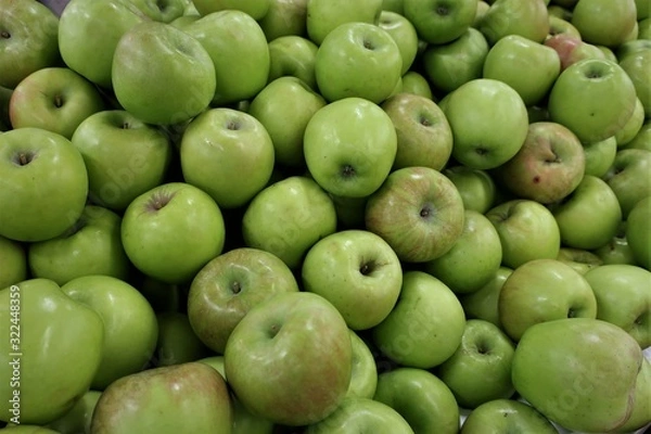 Obraz 아오리 사과