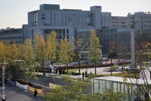 Obraz 연세대 풍경