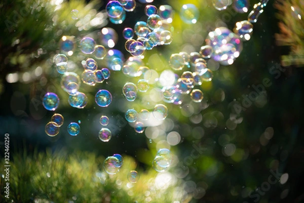 Fototapeta たくさんのシャボン玉