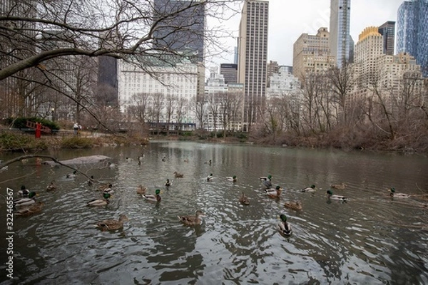 Obraz ニューヨーク　：　冬のセントラルパーク