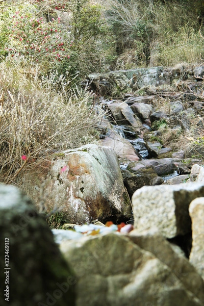 Obraz 岩に流れる川の水