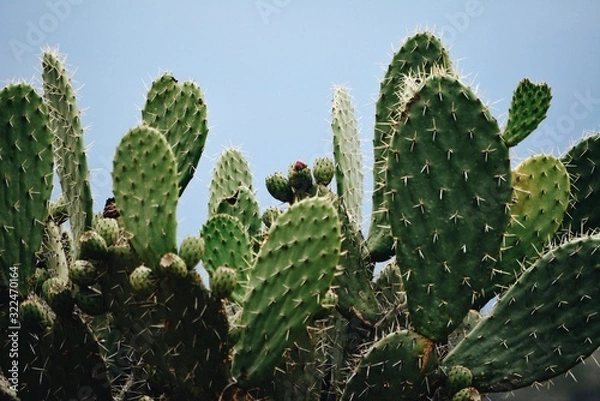 Obraz Processed with VSCO with c8 preset