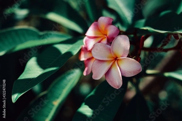 Obraz Processed with VSCO with q4 preset