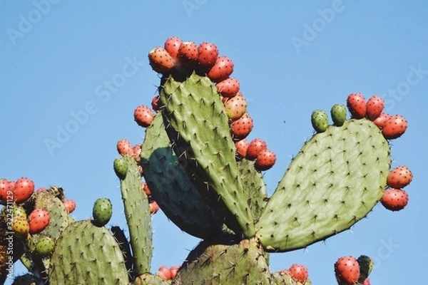 Obraz Processed with VSCO with a9 preset