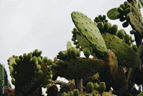 Fototapeta Processed with VSCO with a6 preset