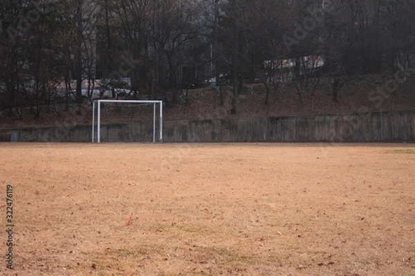 Obraz 천연 잔디 축구장