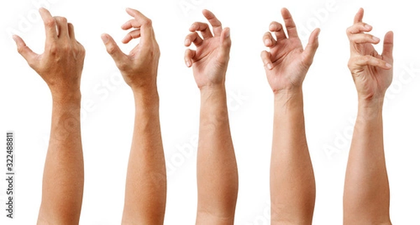 Fototapeta GROUP of Male Asian hand gestures isolated over the white background. Soft Grab Action. Touch Action.