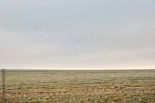Obraz Moody abstract landscape shot in the countryside with meadow in the foreground and grey sky with high fog in the background. Seen in Bavaria, Germany in January