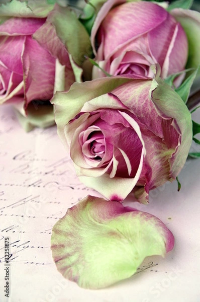 Obraz Rosen auf Brief