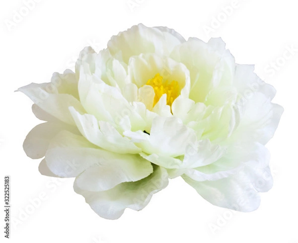 Obraz beautiful white peony made of fabric on a white background. flower of love and tenderness