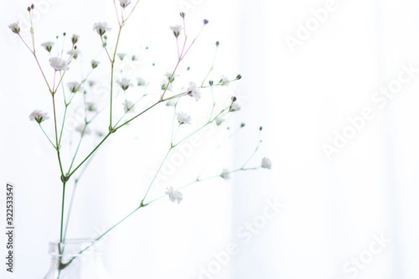 Obraz 部屋の花瓶に飾ったかすみ草の一輪挿しのアップ