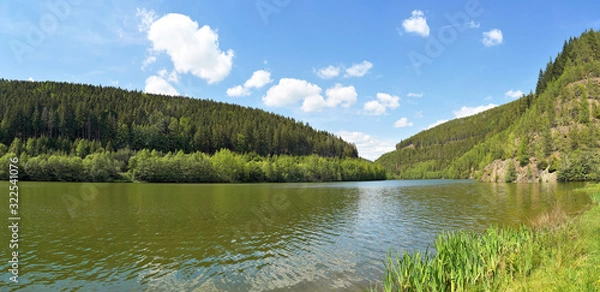 Obraz Naturpark Thüringer Wald