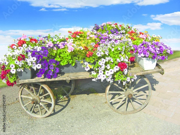 Fototapeta Blumenwagen