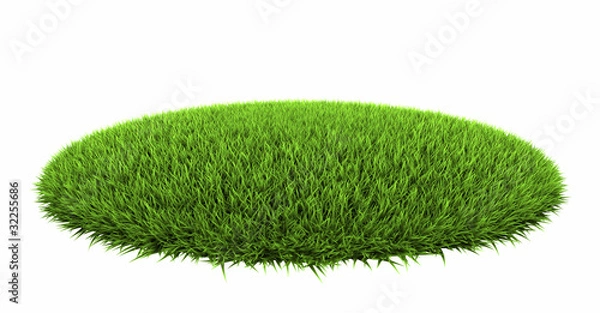 Fototapeta Trawiasta Arena