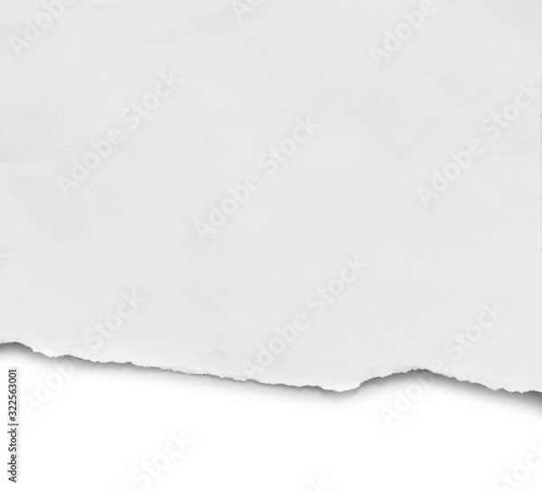 Fototapeta ripped paper isolated on white background with copy space for text