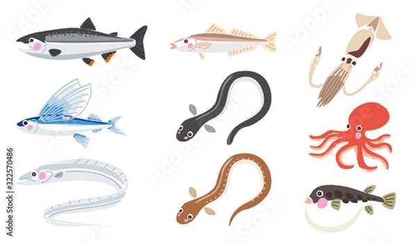 Obraz いろいろな魚のイラスト	