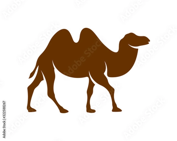 Fototapeta Camel logo vector, Animal graphic, Camel design Template illustration