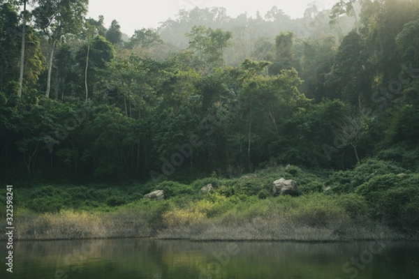 Obraz Green smoke River