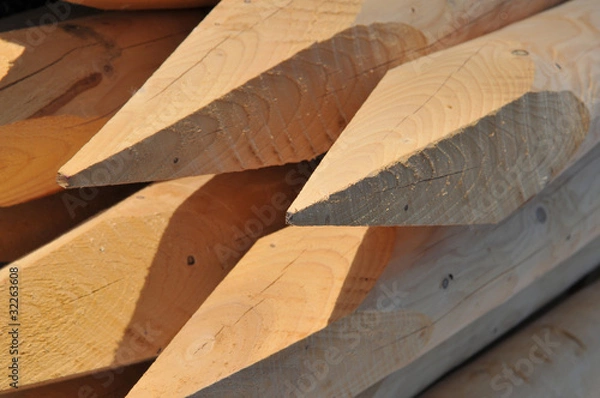 Obraz Holzpfähle - Querformat