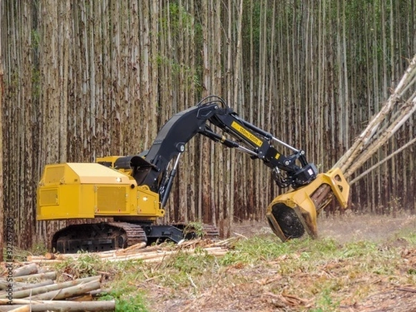 Fototapeta Logging Equipment - Timber Harvesting