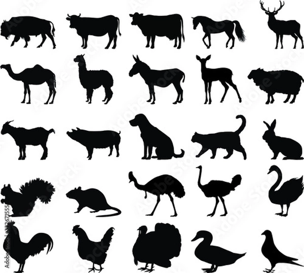 Fototapeta Farm animals silhouette vector on white background