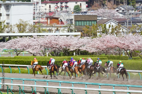 Fototapeta お花見