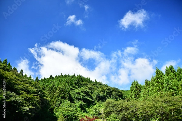 Obraz 快晴の箱根路