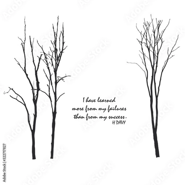 Obraz The beautiful tree with the quote