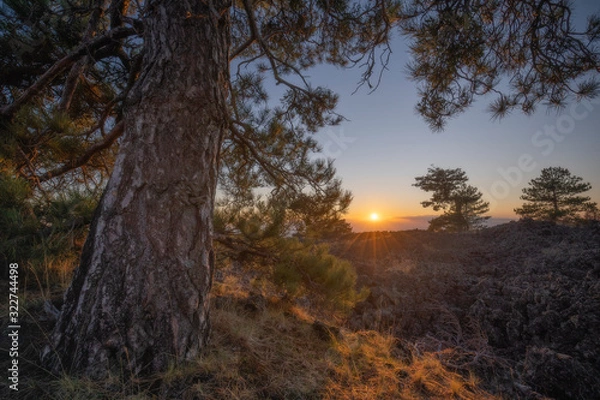 Fototapeta Sunnisettiallottu