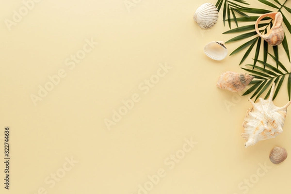 Fototapeta Holidays Travel. Palm leaf shell summer background with copy space for your text. Flat lay, top view.