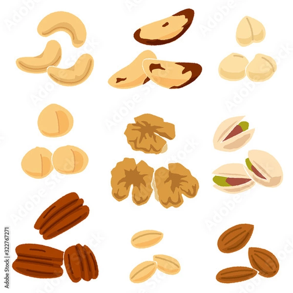 Obraz いろいろなナッツのイラスト