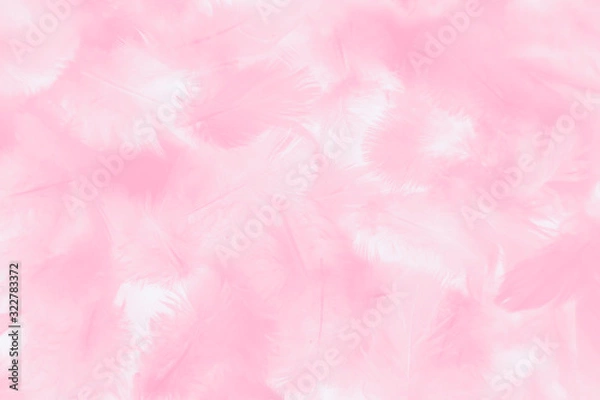 Fototapeta Beautiful abstract colorful white and pink feathers on white background and soft white feather texture on white pattern and light pink background valentine day